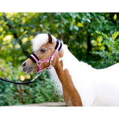 HB Licol Sunny Flower Fuchsia HB Licol Sunny Flower Fuchsia