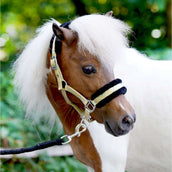 HB Licol Sunny Flower Jaune HB Licol Sunny Flower Jaune