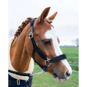 HB Licol Showtime Velvet Little Sizes Noir/Noir Briller HB Licol Showtime Velvet Little Sizes Noir/Noir Briller