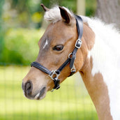 HB Licol Showtime Little Sizes Cuir Noir HB Licol Showtime Little Sizes Cuir Noir