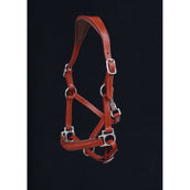 HB Licol Showtime Little Sizes Cognac/Cognac HB Licol Showtime Little Sizes Cognac/Cognac