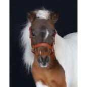 HB Licol Showtime Little Sizes Cognac/Cognac HB Licol Showtime Little Sizes Cognac/Cognac