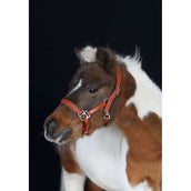 HB Licol Showtime Little Sizes Cognac/Cognac HB Licol Showtime Little Sizes Cognac/Cognac