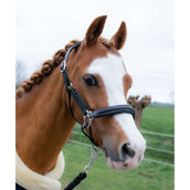 HB Licol Showtime Glitty Little Sizes Noir/Marine Briller HB Licol Showtime Glitty Little Sizes Noir/Marine Briller