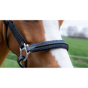 HB Licol Showtime Glitty Little Sizes Noir/Marine Briller HB Licol Showtime Glitty Little Sizes Noir/Marine Briller