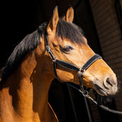 HB Wisconsin Noir/Argent HB Wisconsin Noir/Argent