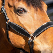 HB Wisconsin Noir/Argent HB Wisconsin Noir/Argent