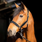 HB Wisconsin Noir/Argent HB Wisconsin Noir/Argent