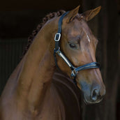 HB Licol Lorenzo Leer Noir HB Licol Lorenzo Leer Noir