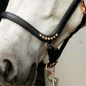 HB Licol Anatomic Marron HB Licol Anatomic Marron