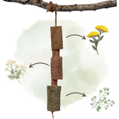 Herbie Jouet en bois à base de plantes Calm Herbie Jouet en bois à base de plantes Calm