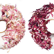 Candy Horse Donut Pink Cornflower Candy Horse Donut Pink Cornflower