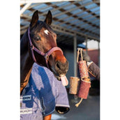 Candy Horse Love Jouet à Mâcher Vol Liefde Candy Horse Love Jouet à Mâcher Vol Liefde