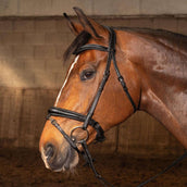 Harry's Horse Bride Soft Carbon Black Edition Noir Harry's Horse Bride Soft Carbon Black Edition Noir