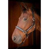 Harry's Horse Licol Leder Metallic Noir/Or rose Harry's Horse Licol Leder Metallic Noir/Or rose