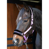 Paroles et citations de Harry's Horse Halter Lila Paroles et citations de Harry's Horse Halter Lila