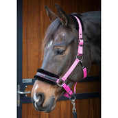 Paroles et citations de Harry's Horse Halter Rose Paroles et citations de Harry's Horse Halter Rose