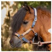 Harry's Horse Ensemble Licol Diva Mauvewood Faded-Denim Harry's Horse Ensemble Licol Diva Mauvewood Faded-Denim