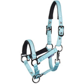 Harry's Horse Licol pour Poulain Metal Pastel Turquoise Harry's Horse Licol pour Poulain Metal Pastel Turquoise