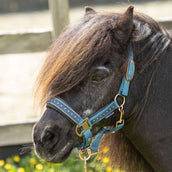 Harry's Horse Ensemble Licol Crystal Tapestry Harry's Horse Ensemble Licol Crystal Tapestry