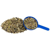 Hilton Herbs Cush X Hilton Herbs Cush X