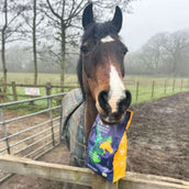 Hilton Herbs Herballs No2 Turmeric & Ginger Hilton Herbs Herballs No2 Turmeric & Ginger