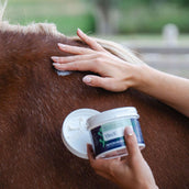 Hilton Herbs VireX Cream Hilton Herbs VireX Cream