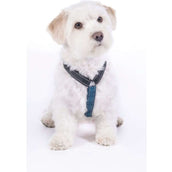 HKM Harnais pour Chien Anam Cara Basic Nylon Bleu Foncé/Petrol HKM Harnais pour Chien Anam Cara Basic Nylon Bleu Foncé/Petrol