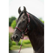 HKM Licol Carlotta Bordeaux HKM Licol Carlotta Bordeaux