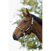 HKM Licol Carlotta Jade HKM Licol Carlotta Jade