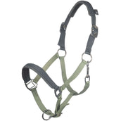 HKM Licol Barnie Vert clair/Vert foncé HKM Licol Barnie Vert clair/Vert foncé