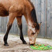 Excellent Tapis de Fouille Horse Flower Power Excellent Tapis de Fouille Horse Flower Power