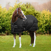 Amigo Couverture Diamond Insulator 200g Noir/Argent Amigo Couverture Diamond Insulator 200g Noir/Argent