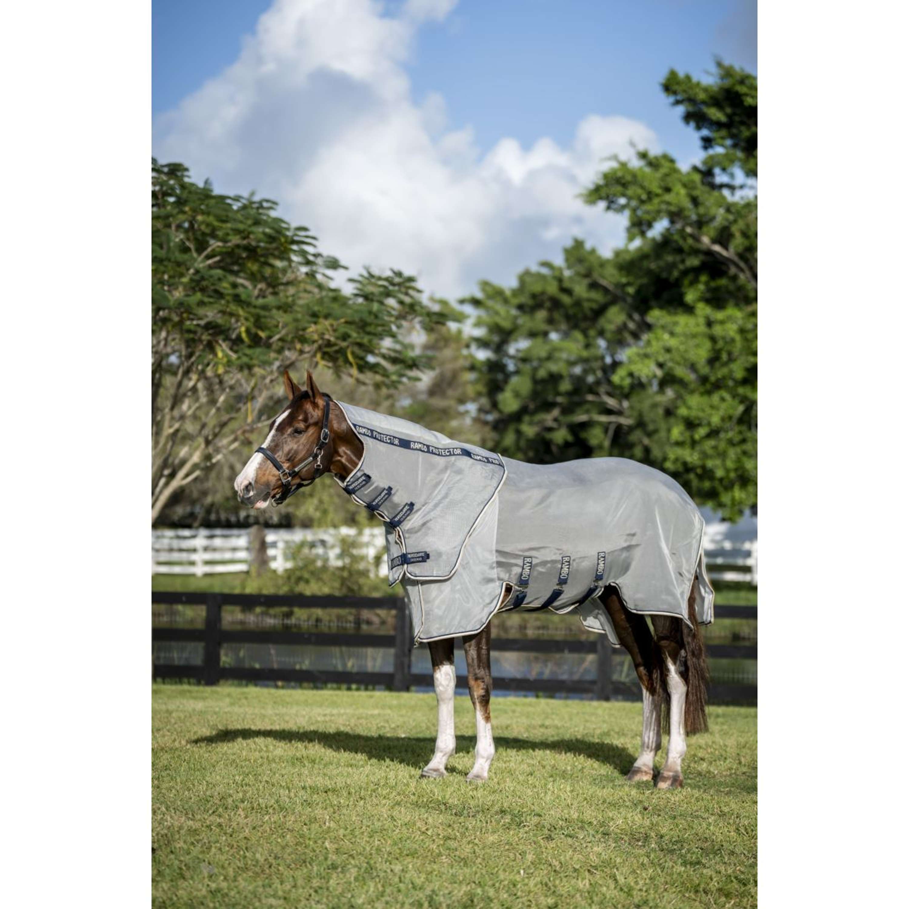 Rambo Protector Fieldsafe Plus fra Horseware Rambo Protector Fieldsafe Plus fra Horseware