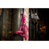 Amigo Licols et Longes Newmarket Witney Pink Amigo Licols et Longes Newmarket Witney Pink