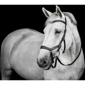 Horseware Micklem Deluxe Competition Bridle Noir Horseware Micklem Deluxe Competition Bridle Noir