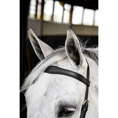 Horseware Micklem Multi Bridle Noir Horseware Micklem Multi Bridle Noir