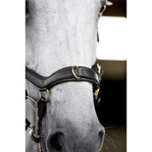 Horseware Micklem Multi Bridle Noir Horseware Micklem Multi Bridle Noir