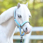 HV Polo Licol HVPNena Powder Blue HV Polo Licol HVPNena Powder Blue