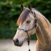 HV Polo Licol en Corde HVPLamu Noir HV Polo Licol en Corde HVPLamu Noir