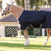 Amigo Chemise Turnout 1200D Pony 50g Noir/Gris Titane/Argent Amigo Chemise Turnout 1200D Pony 50g Noir/Gris Titane/Argent
