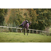 Amigo Turnout Plus 1200D 250g Burgundy/Navy/Titanium Grey Amigo Turnout Plus 1200D 250g Burgundy/Navy/Titanium Grey