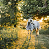 Rambo Optimo Protector Plus Silver/Thunderstorm Grey/Silver Rambo Optimo Protector Plus Silver/Thunderstorm Grey/Silver