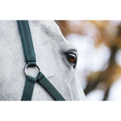 Amigo Licols et Longes Dynasty Green Amigo Licols et Longes Dynasty Green