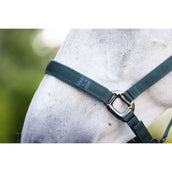 Amigo Licols et Longes Dynasty Green Amigo Licols et Longes Dynasty Green