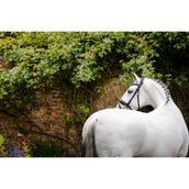 Horseware Bride Pony Diamante Flash Noir/Rose Horseware Bride Pony Diamante Flash Noir/Rose