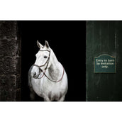 Rambo Micklem Bitless Bridle Marron Rambo Micklem Bitless Bridle Marron