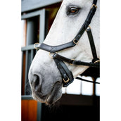Rambo Micklem Multi Bridle Nouveau Noir Rambo Micklem Multi Bridle Nouveau Noir