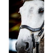 Rambo Micklem Multi Bridle Nouveau Noir Rambo Micklem Multi Bridle Nouveau Noir