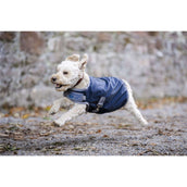 Horseware Ionic Therapy Dog Coat 50g Imperial Blue/Silver/Navy Horseware Ionic Therapy Dog Coat 50g Imperial Blue/Silver/Navy